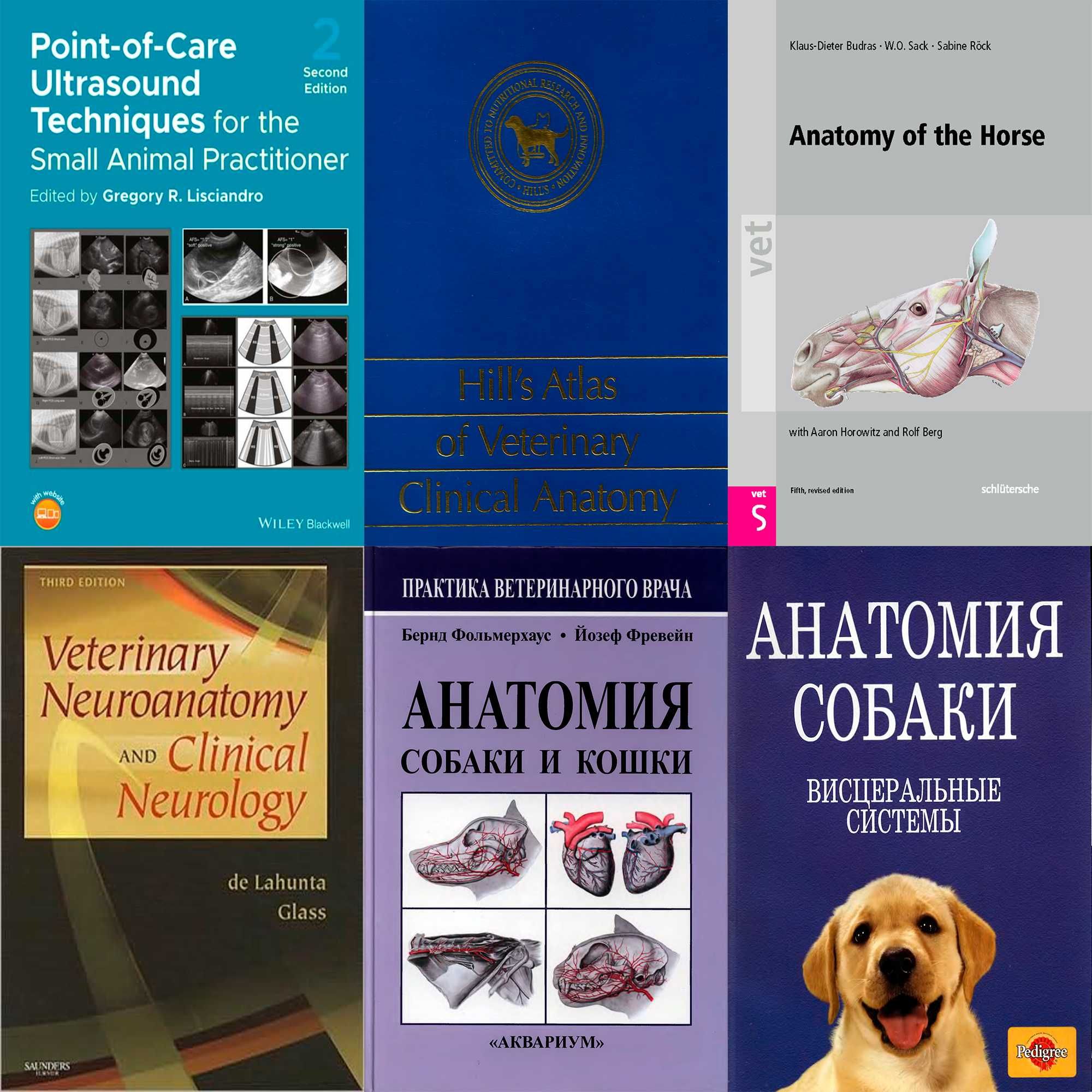 Учебники книги по медицине  и ветеринарии 2 Низкие цены