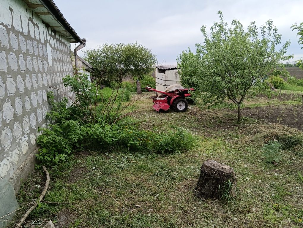 Продам дом вместе с бизнесом!