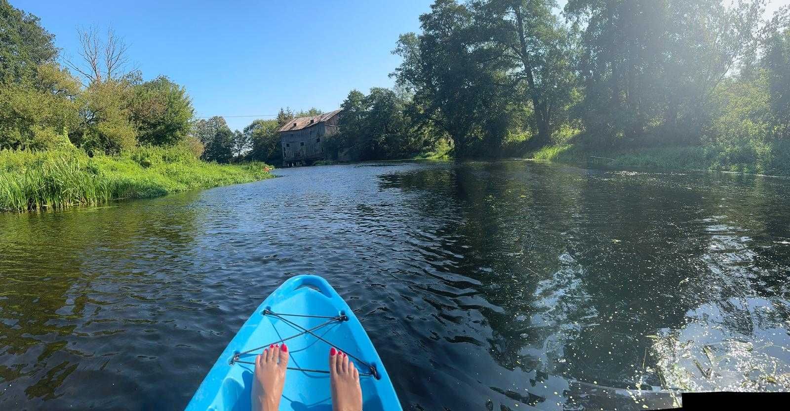 Domek na wynajem z sauną i jacuzzi Joniec