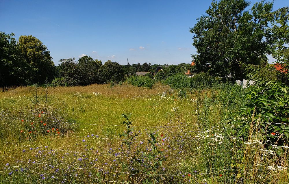 Działka budowlana siedliskowa 4500m2 Gębice k. Mogilna uzbrojona