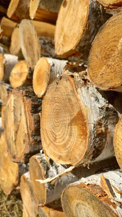 Бесплатная доставка , Надежные дрова твердых пород