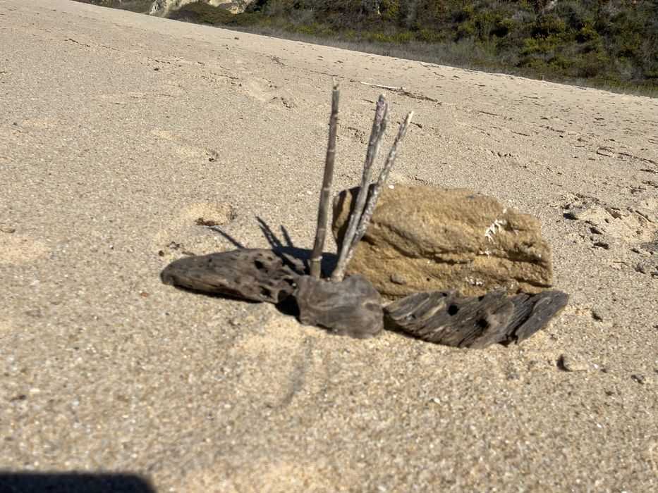 Pedra e troncos para aquario