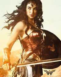 Plakat Wonder Woman 61,5 x 91,5