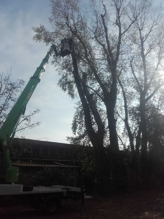 Koszenie zarośli, wycinka drzew, mulczowanie, usuwanie karp