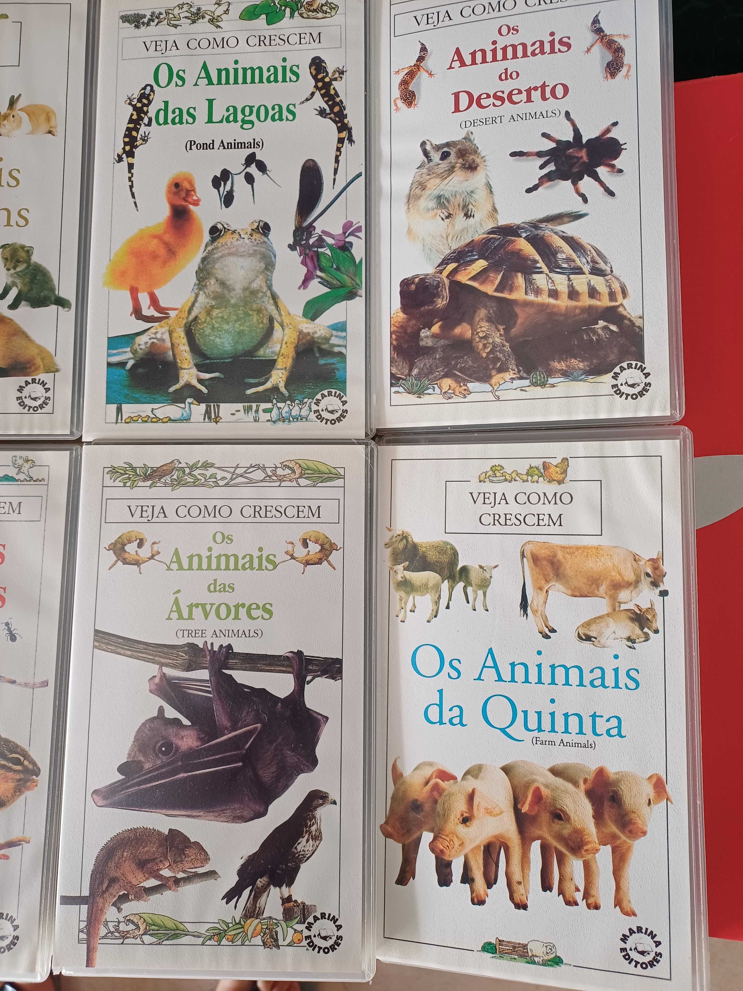 Documentários Veja Como Crescem VHS's 10 unidades