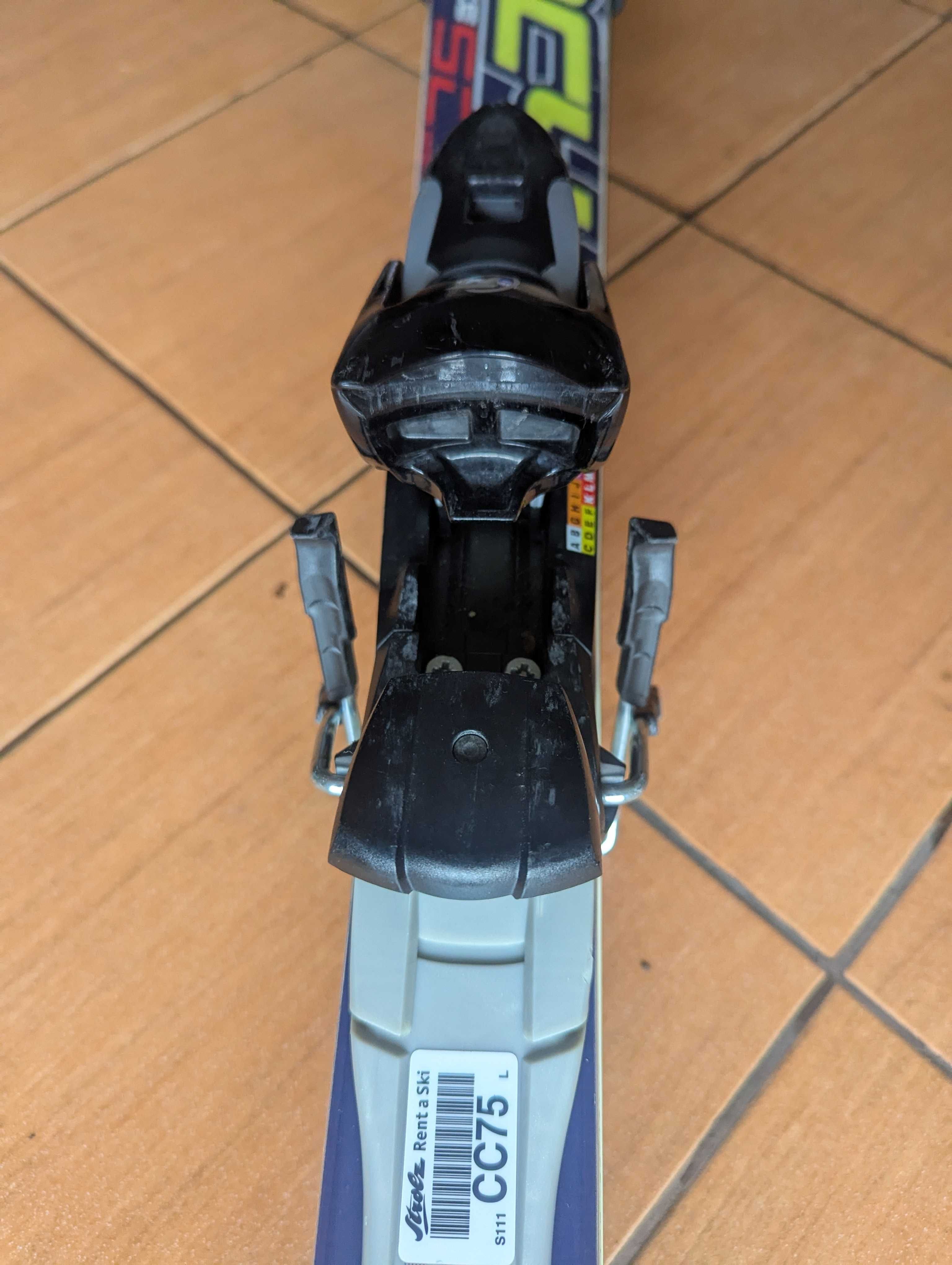 Narty Fischer RC4 SC 170 cm
