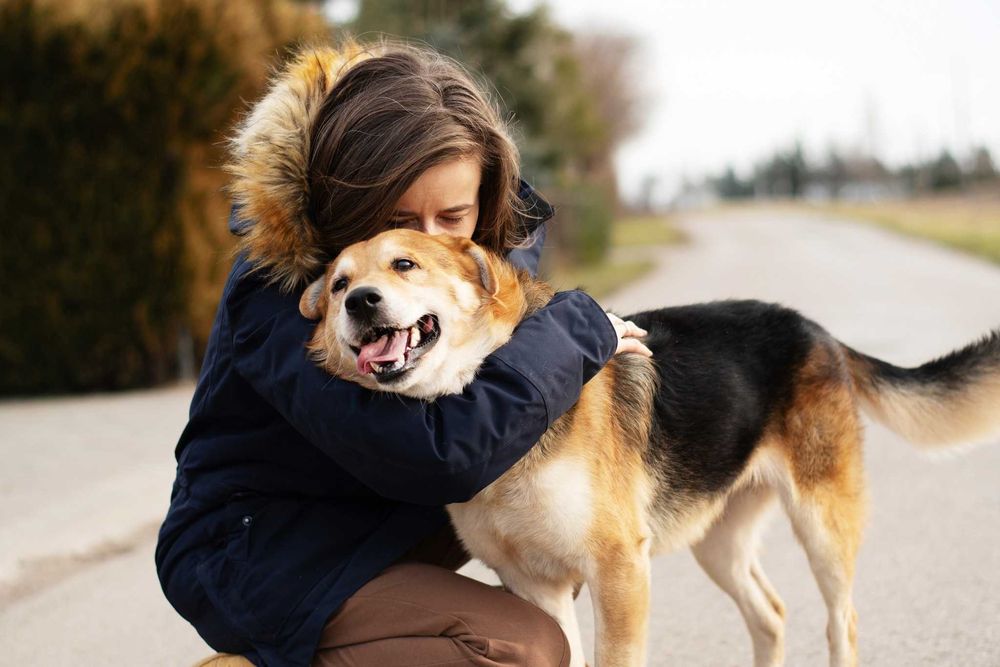 DIBON - dojrzały ale pełen wigoru i miłości do człowieka psiak