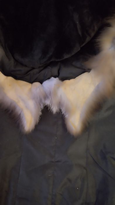 Шуба з натурального хутра 2500 грн.