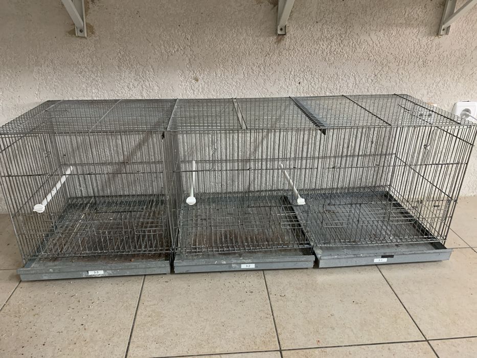 Gaiola, voadeira, viveiro