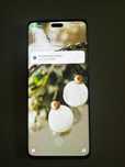 Xiaomi Redmi 13 Lite 8+3GB/256GB