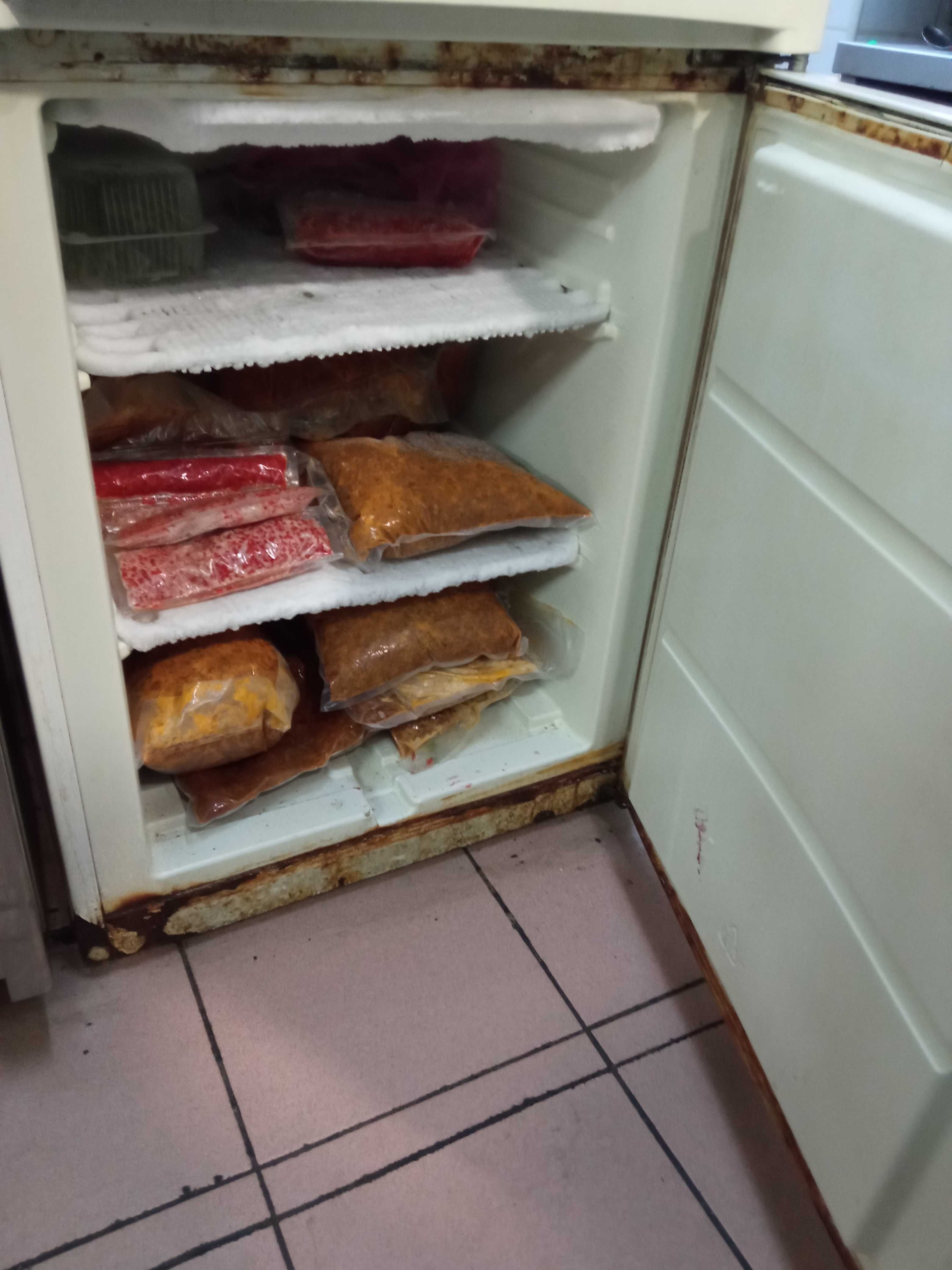 Холодильник з морозильною камерою zanussi