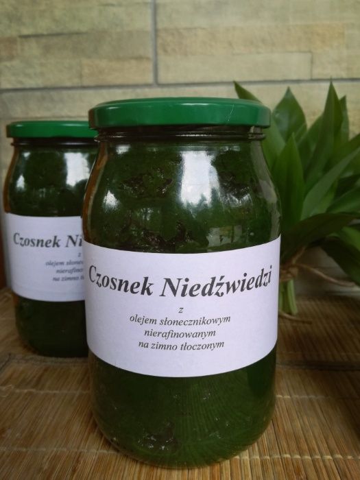 Czosnek niedźwiedzi PESTO, mielony, słoiki oraz świeże liście 25zł/kg