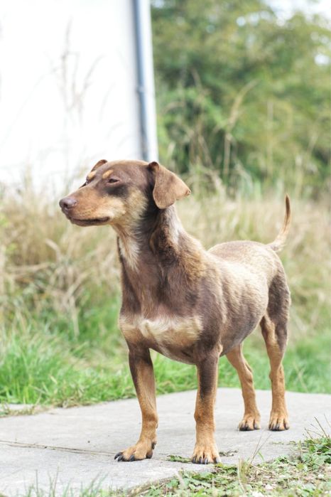 Szukany dla Tomasza odpowiedzialnego domu