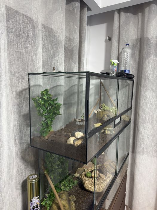 Terrário para repteis