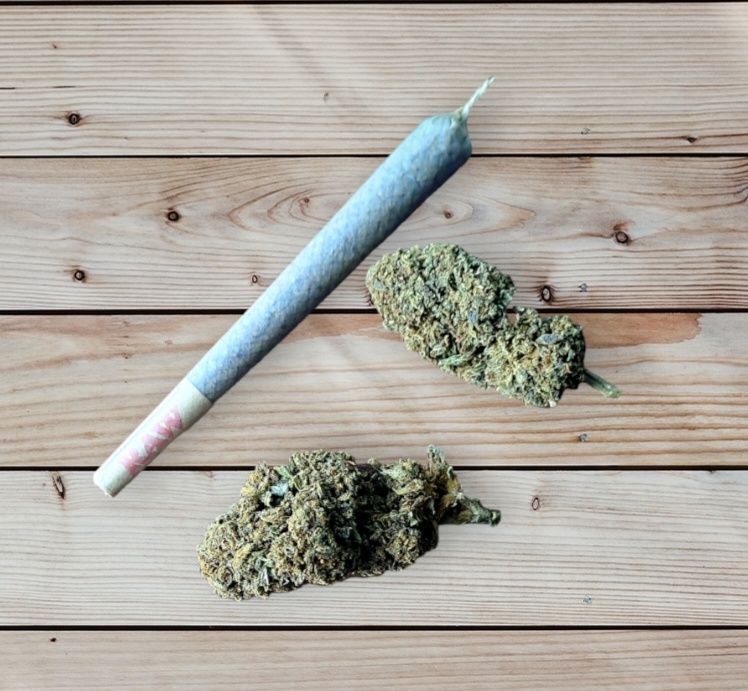 10szt joint AMNESIA CBD 39% 1.32g/szt