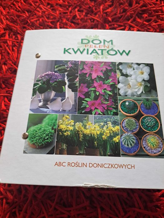 Segregator z kwiatami domowymi kwiaty doniczkowe