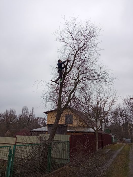Вивіз гілок. Прибирання територій.
