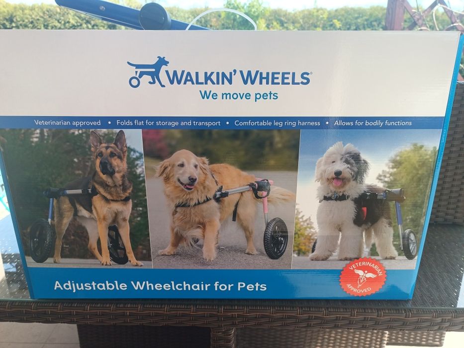 Wózek rehabilitacyjny dla psa na niedowład łap tylnych