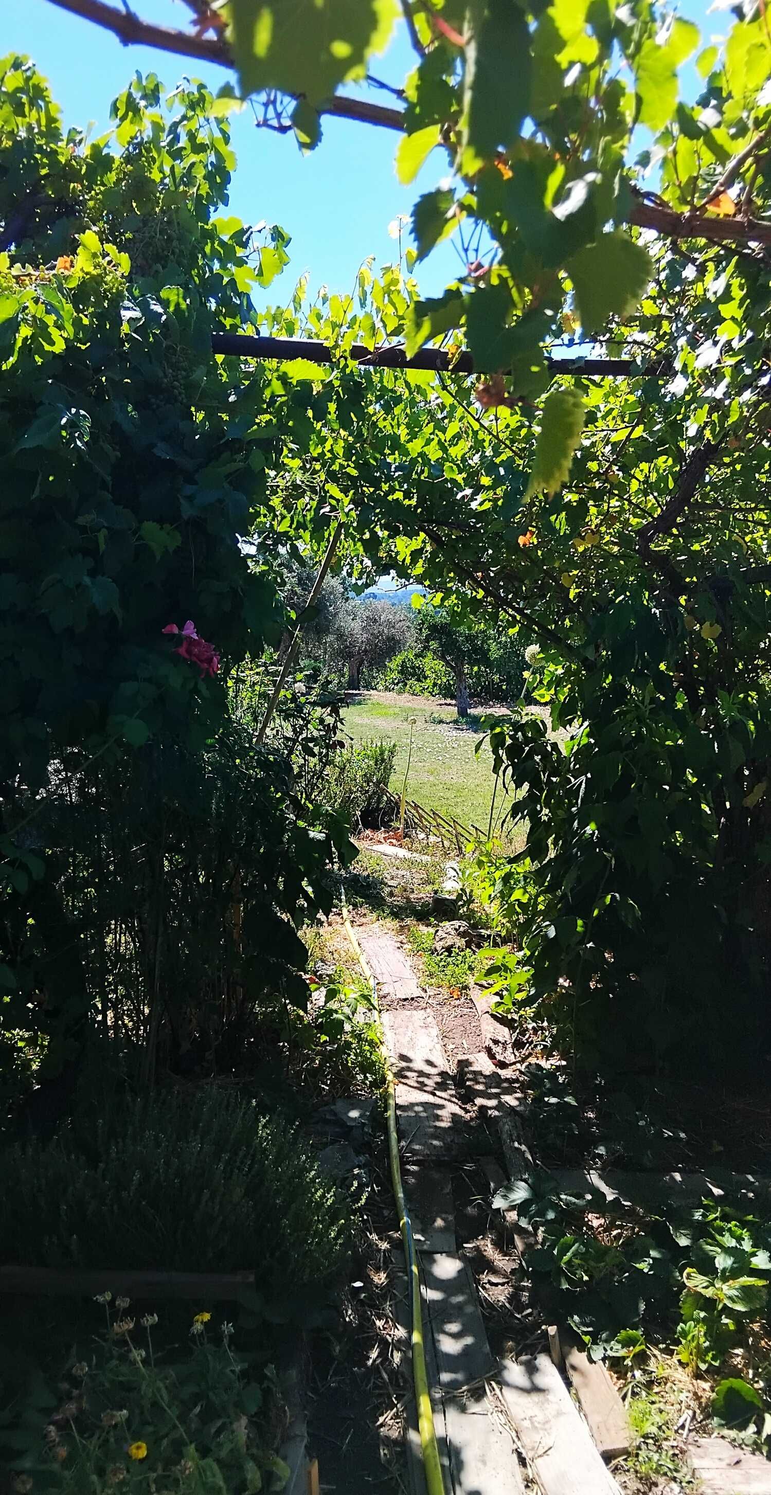 Moradia com jardim e vista deslumbrante