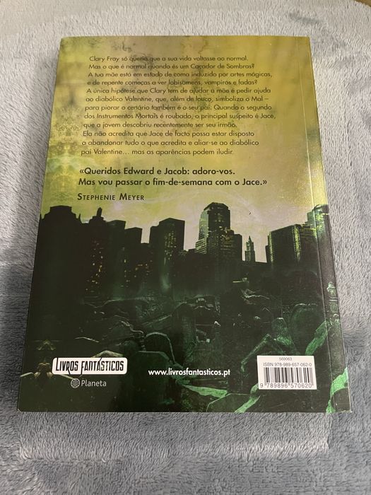 Livro a cidade das cinzas