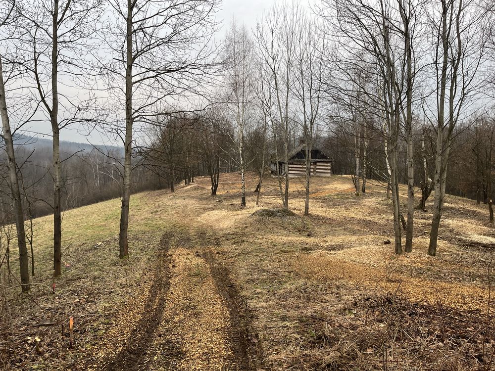 Rębak na gąsienicy, wycinka drzew
