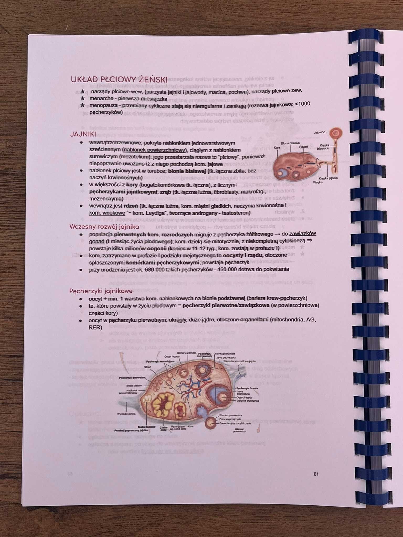 Histologia 101 skrypt z histologii