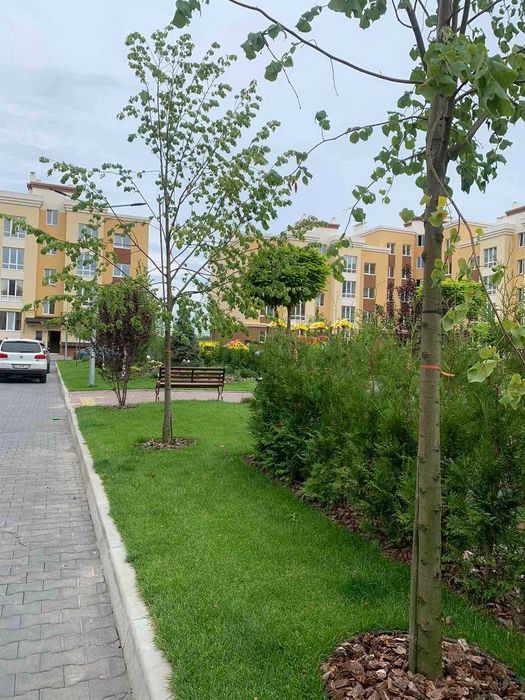 Продаж приміщення 50м ЖК Львівський Затишок