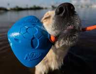 Zabawka wodna dla psa z piszczałką pływająca Nerf Dog