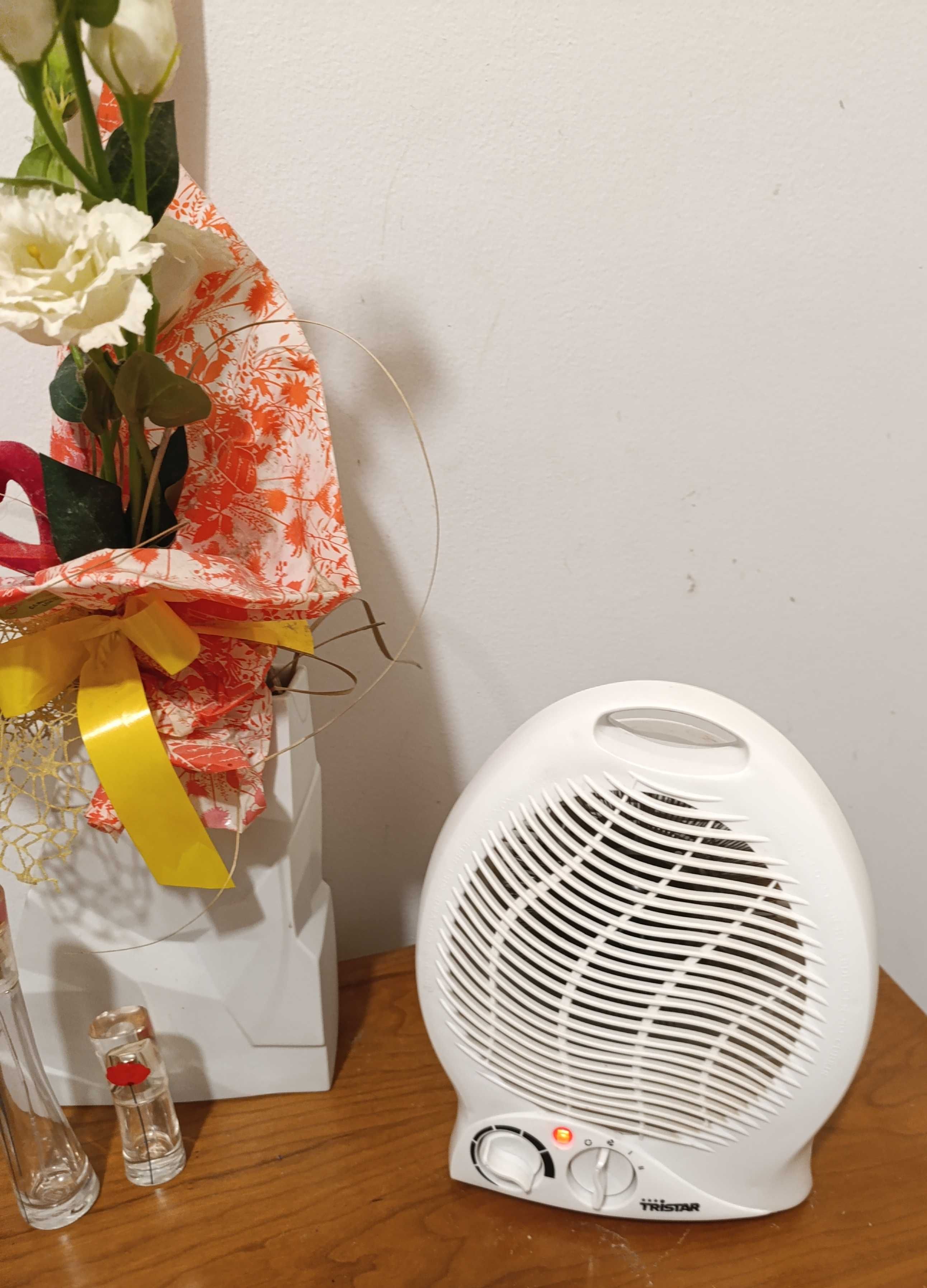 Ventilador 3 configurações: vento frio, morno e quente  Potencia 2000W