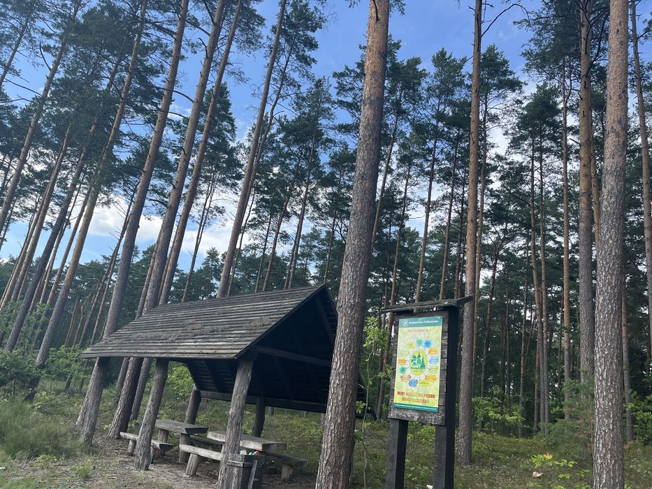 Działka budowlana - Poręby Dymarskie, gmi. Cmolas