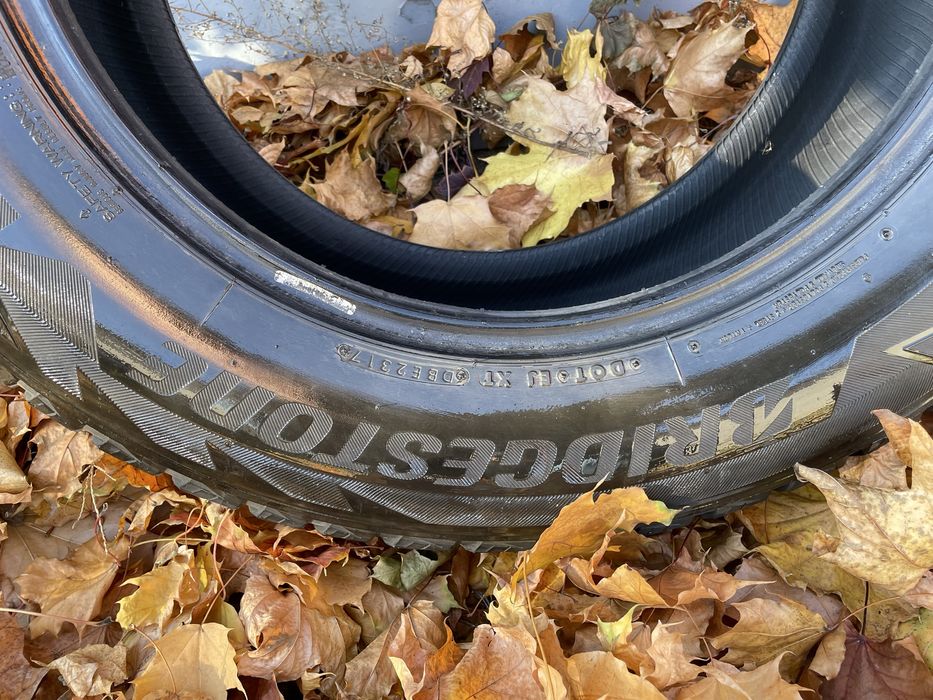 Зимова шина Bridgestone Blizzak DM-V2 265/60 R18