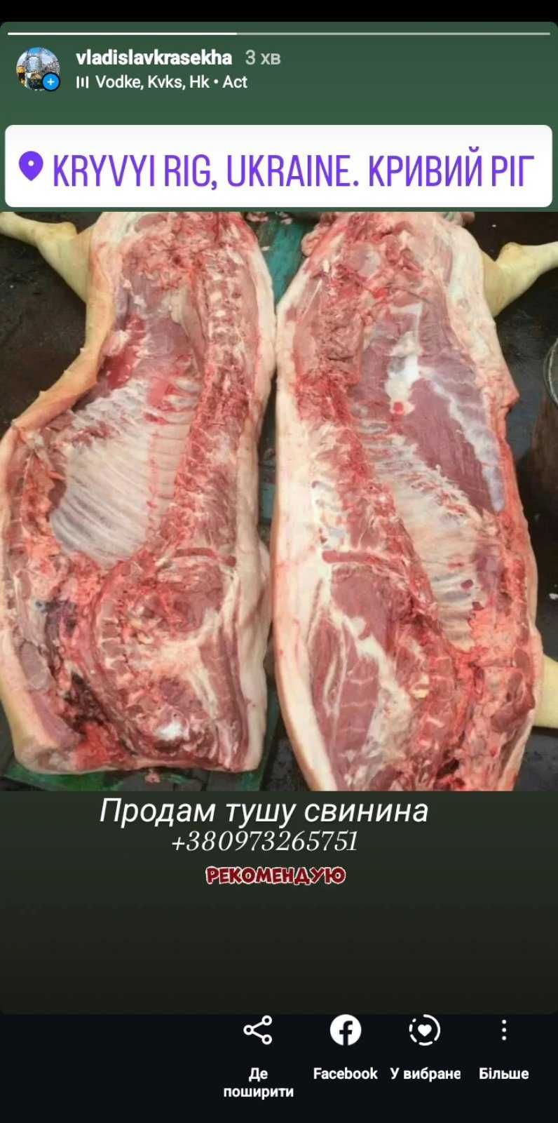 Продам тушку свинина