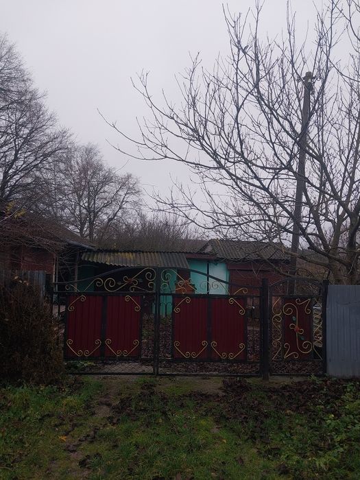 Здам будинок в оренду.  З усіма зручностями