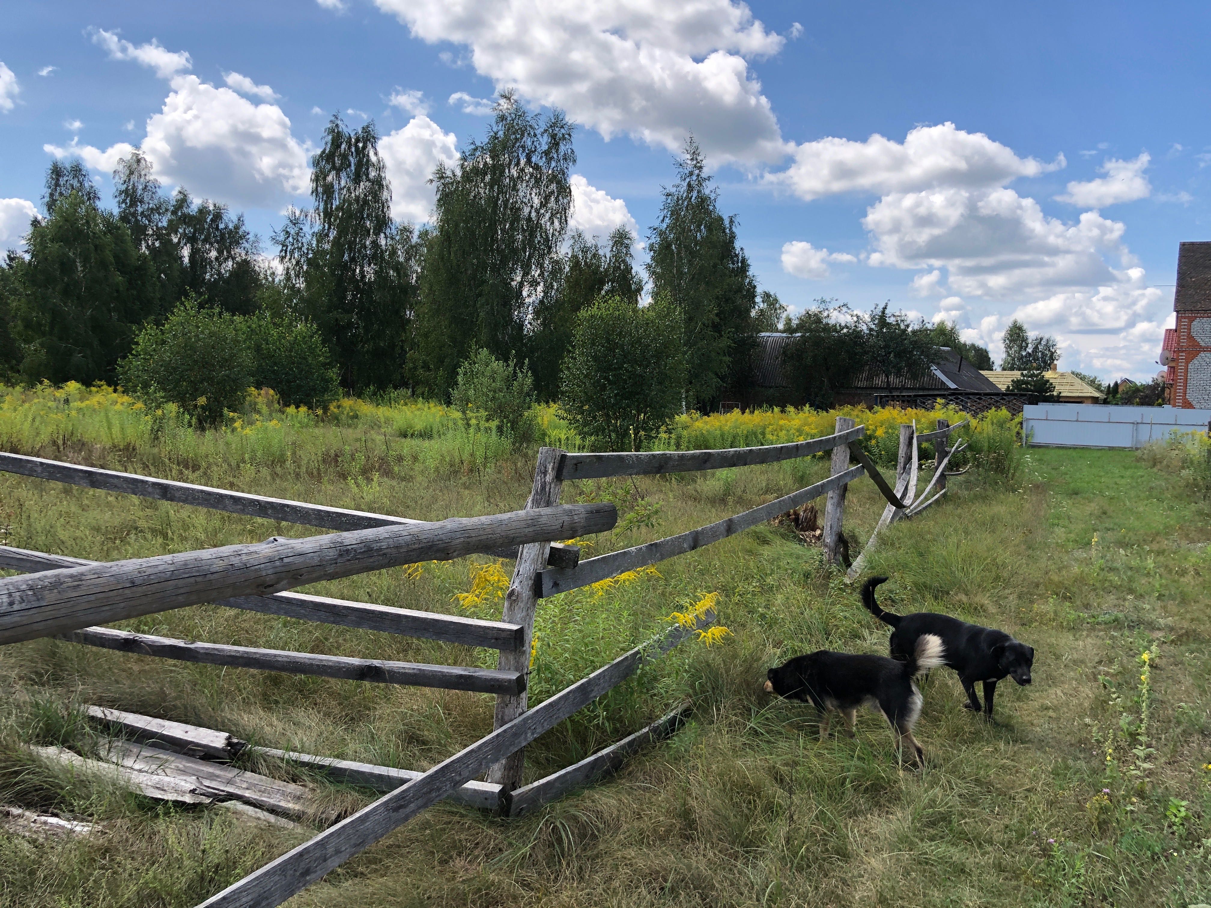 Продаж земельних ділянок