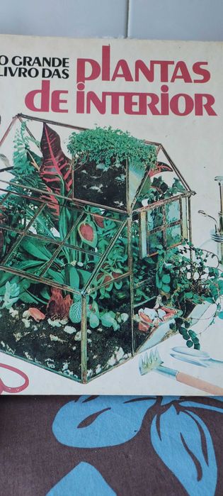 O grande livro das plantas de interior