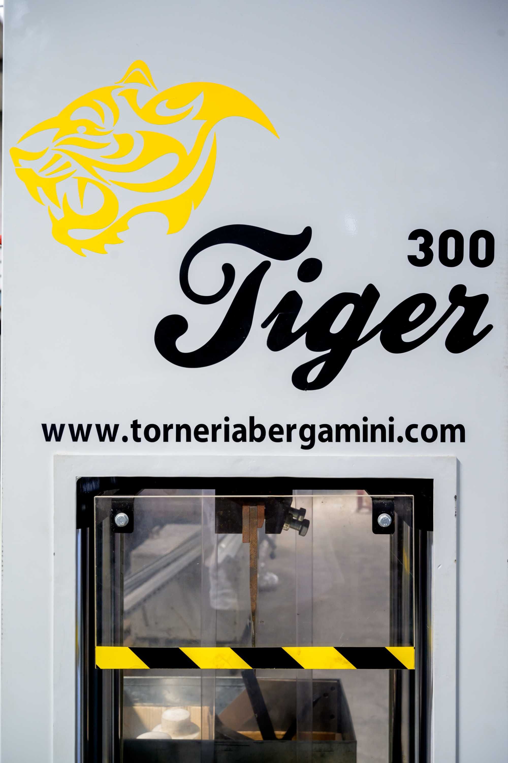 Bergamini Tiger 300 - Reciclagem de motores eléctricos