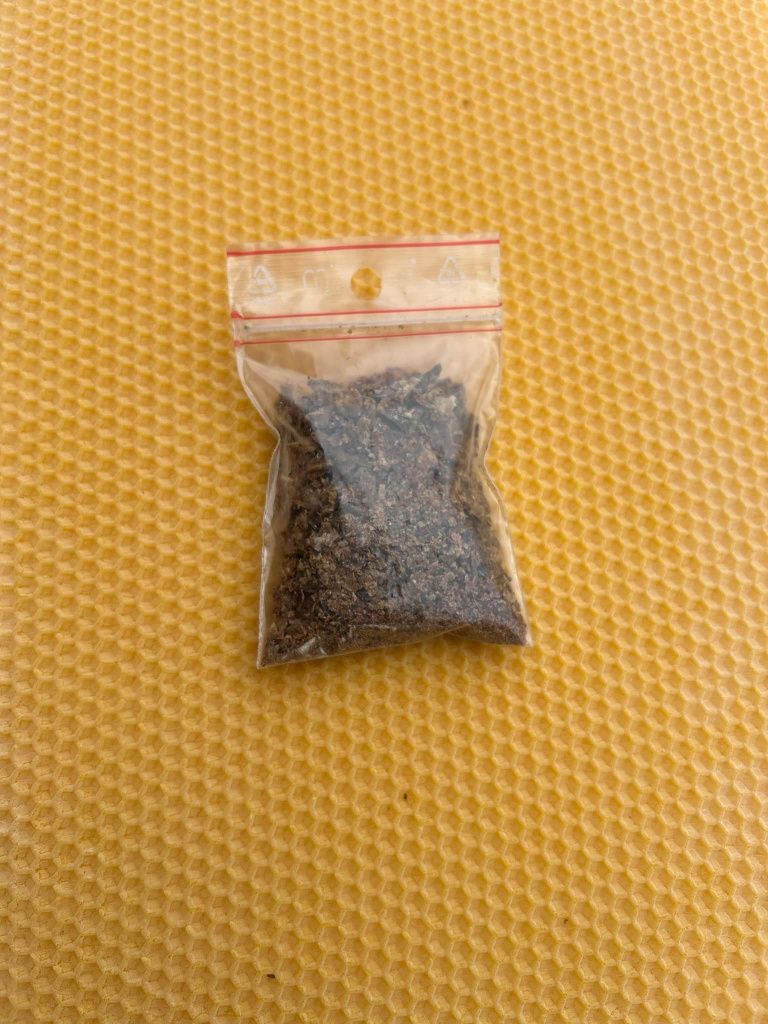 Kit pszczeli propolis