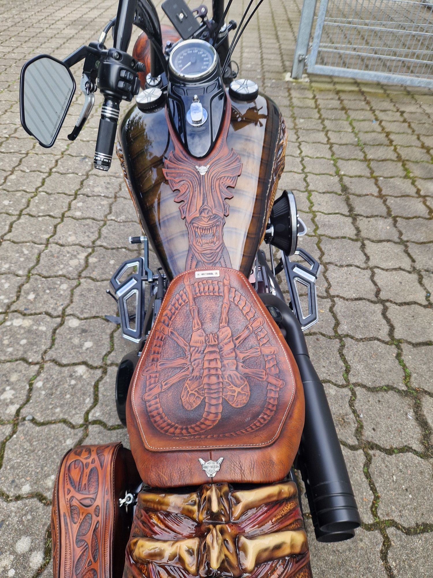 Harley Dawidson Softail Slim ALIEN