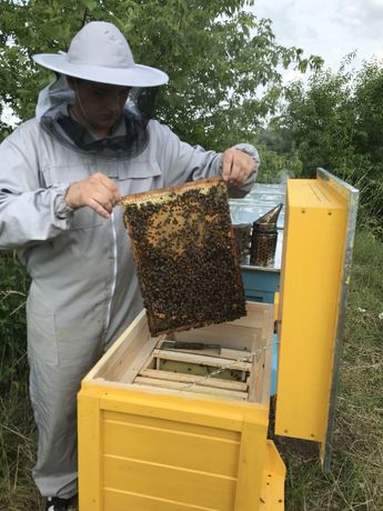 Odklady pszczele zamowienia na rok  2022