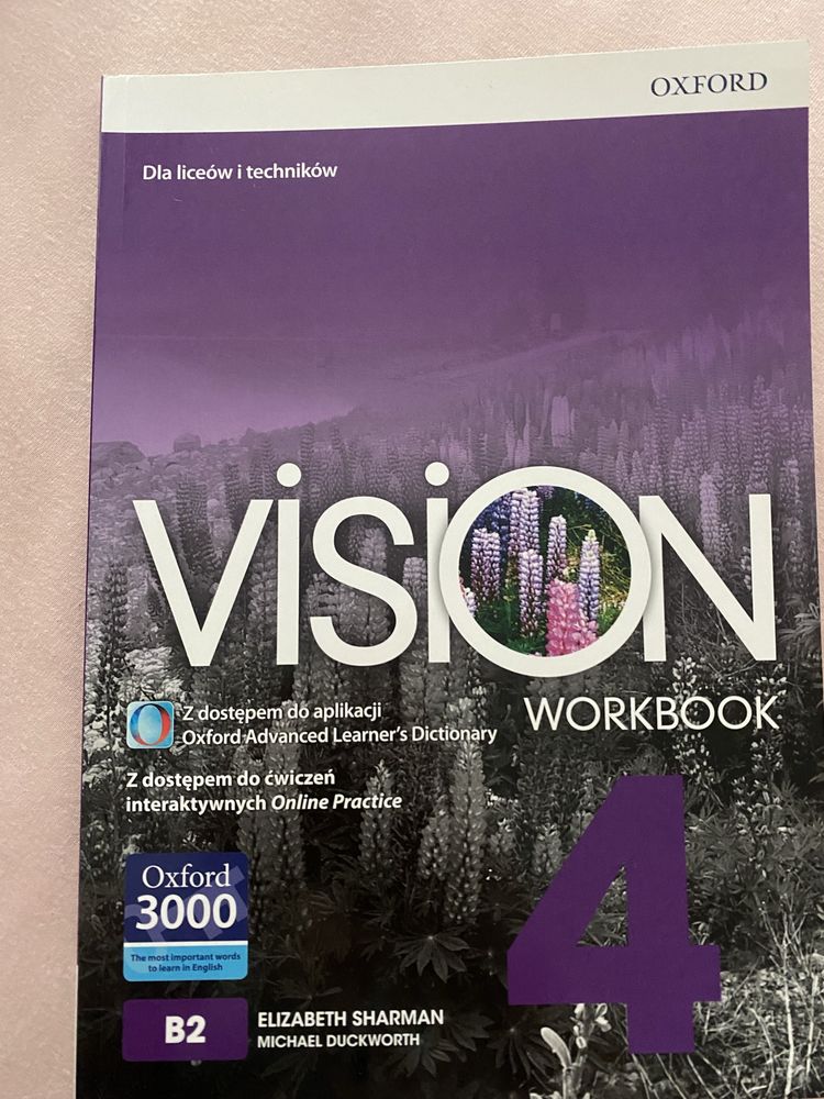 VISION 4 workbook