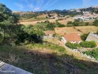 Terreno Urbano em Valejas – Potencial para Projetos Futuros
