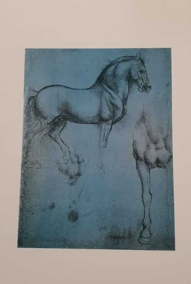 Coleção de impressões dos cavalos de Leonardo da Vinci