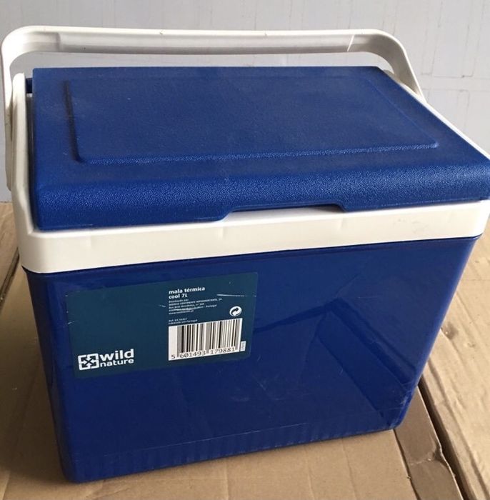 Arca Geladeira térmica caixa praia piquenique + gelo