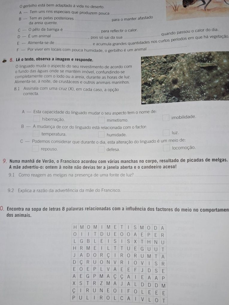 Manual e caderno de Atividades Ciências 5° ano