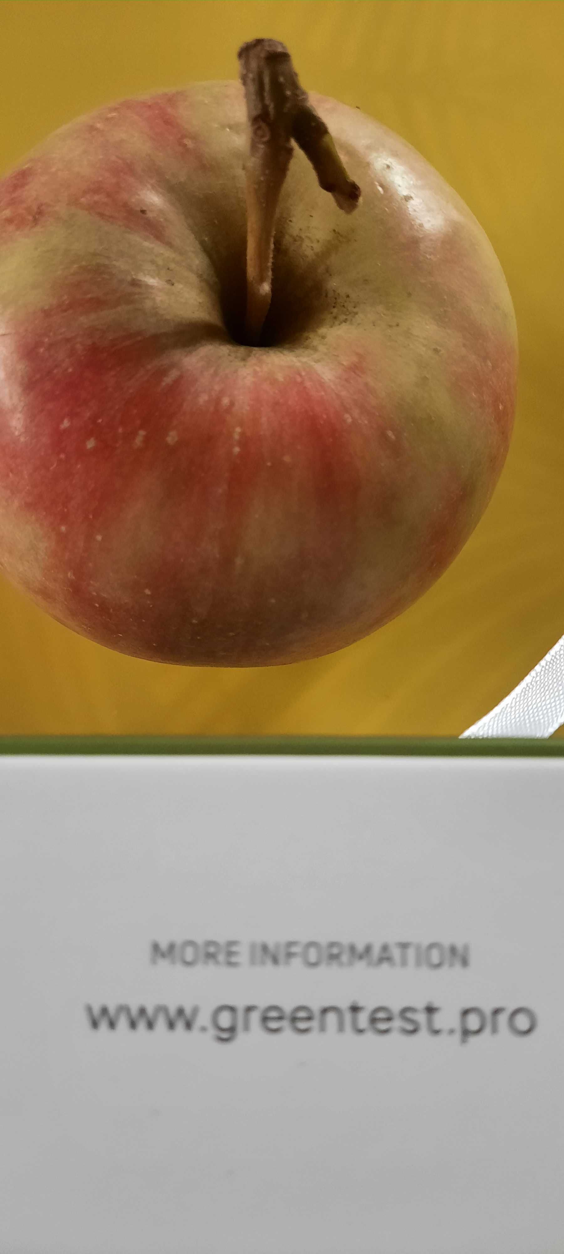 Tester żywności Greentest
