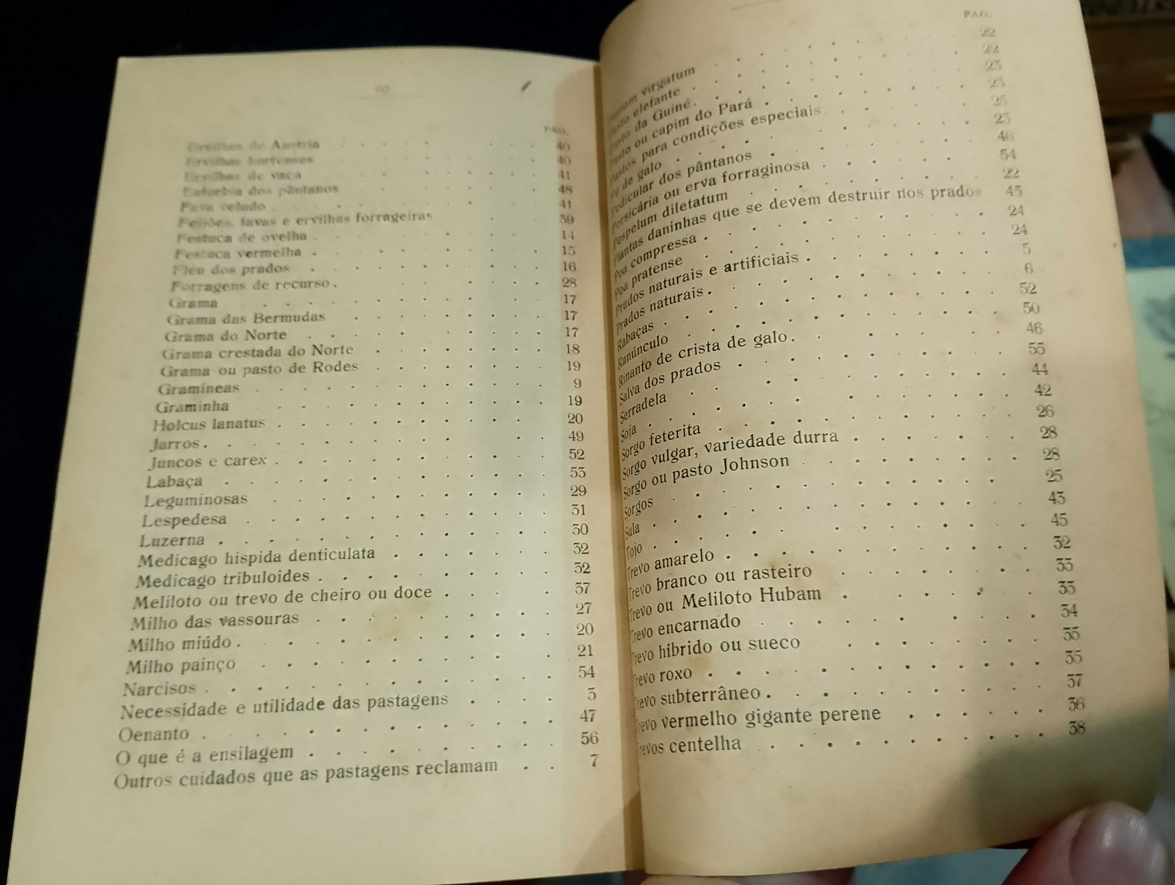 Prados e Pastagens 1944 Armando Xavier da Fonseca