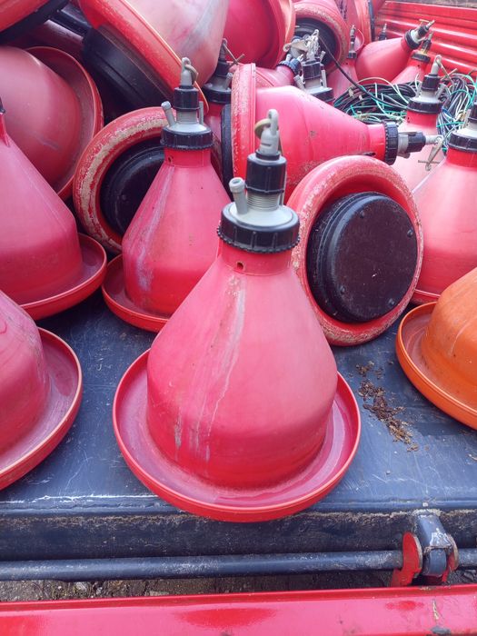 Bebedouros para aviário