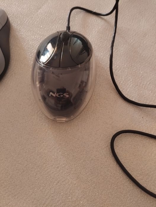 Ratos para computador