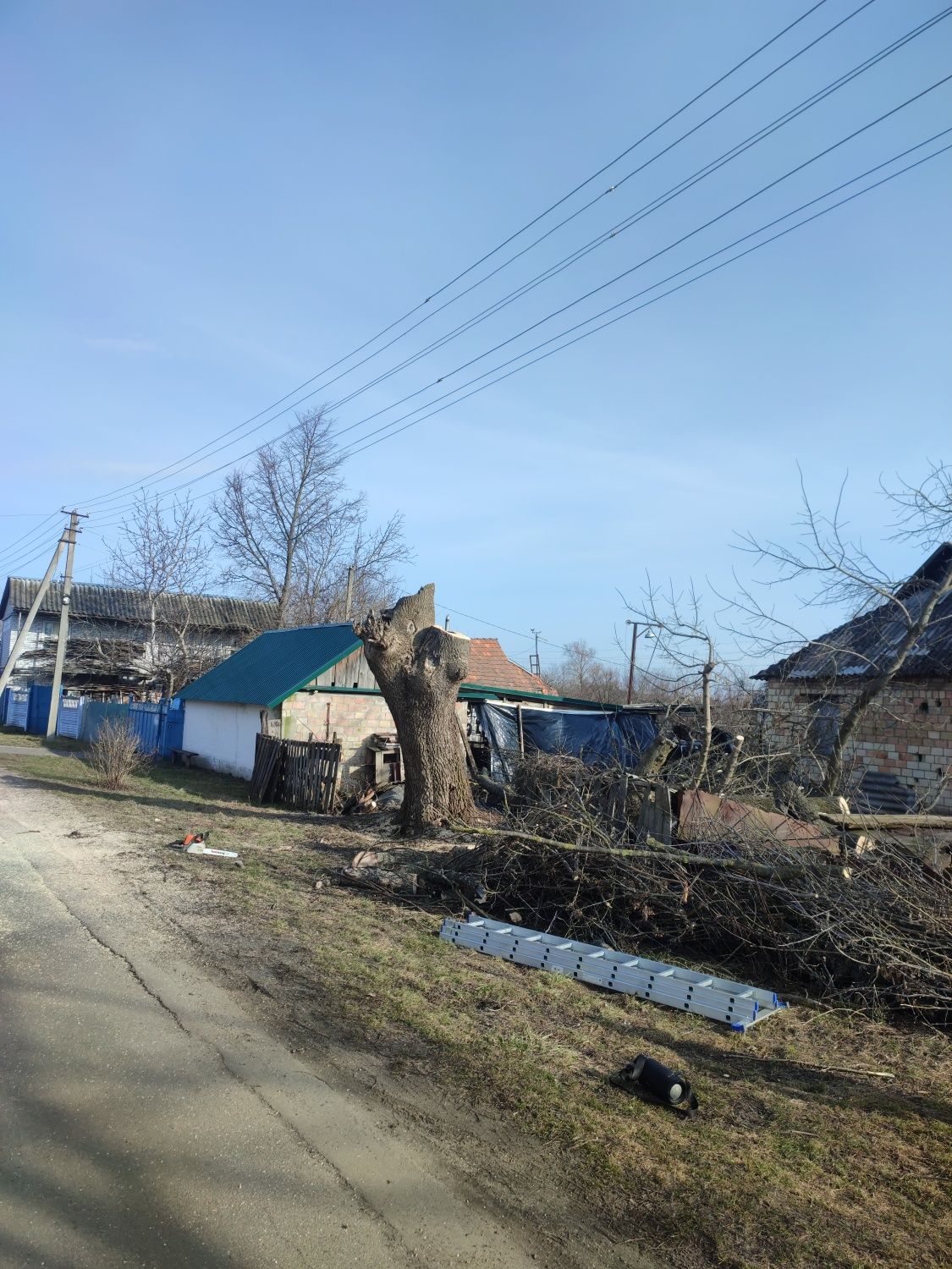 Спилювання дерев кущів, розчистка участка, спил аварійних гілок