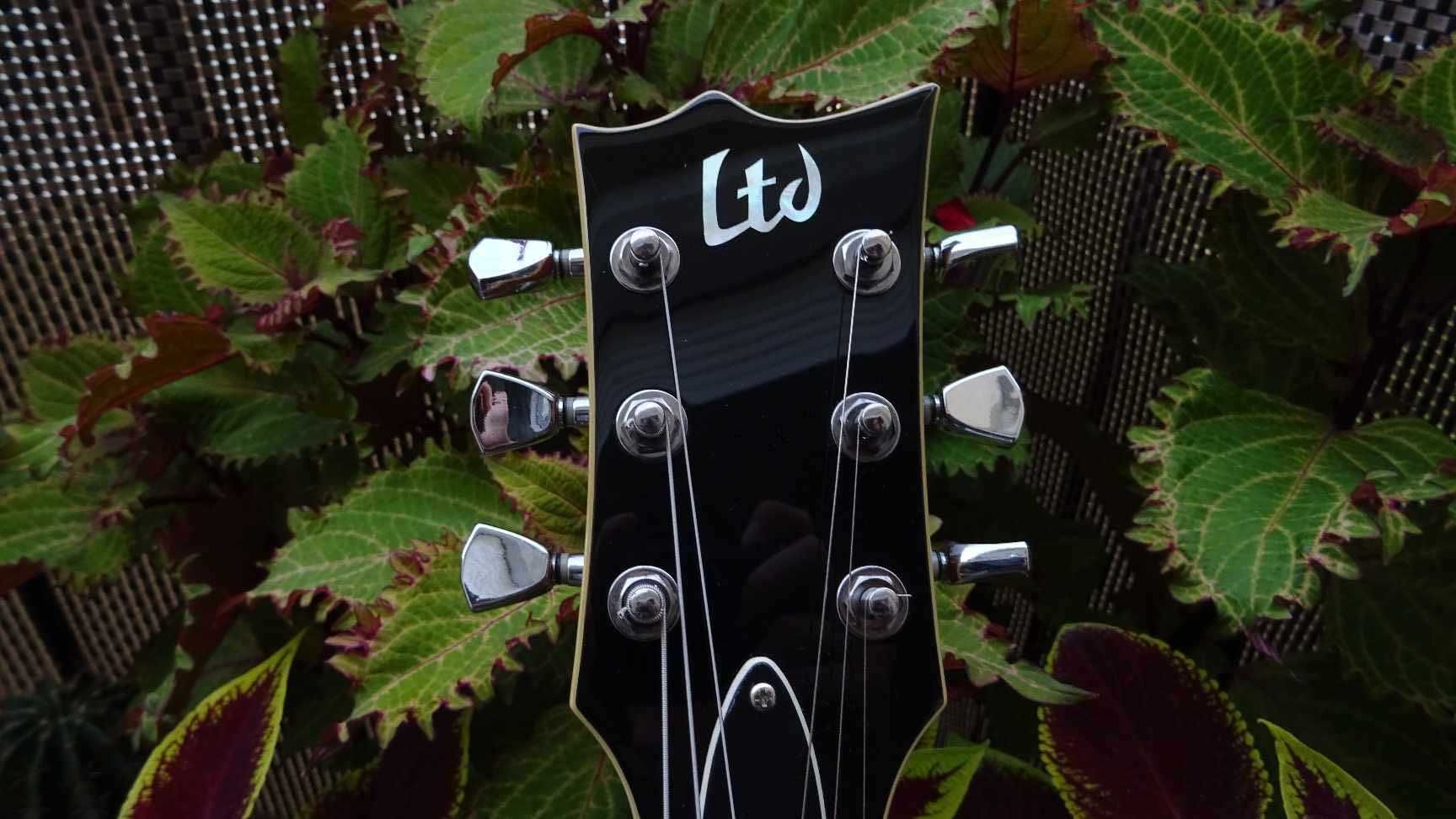 Gitara Elektryczna LTD EC-256